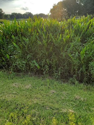 The Golf Club at Cinco Ranch - photo 36