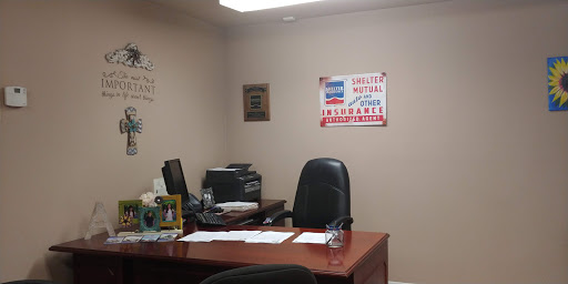 Auto Insurance Agency «Shelter Insurance - Aaron Ruiz», reviews and photos