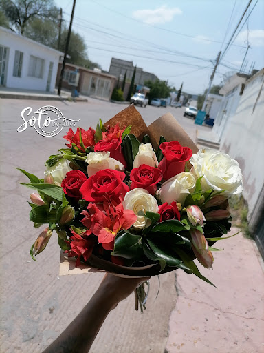 Detalles Soto – Cuencamé