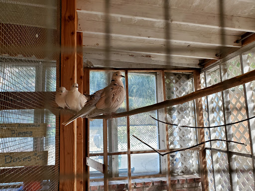 Florist «Loose Caboose LLC», reviews and photos, 18492 E Telegraph Rd, Santa Paula, CA 93060, USA