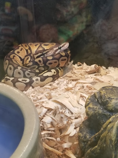 Pet Supply Store «PetSmart», reviews and photos, 2201 Gallatin Pike N, Madison, TN 37115, USA