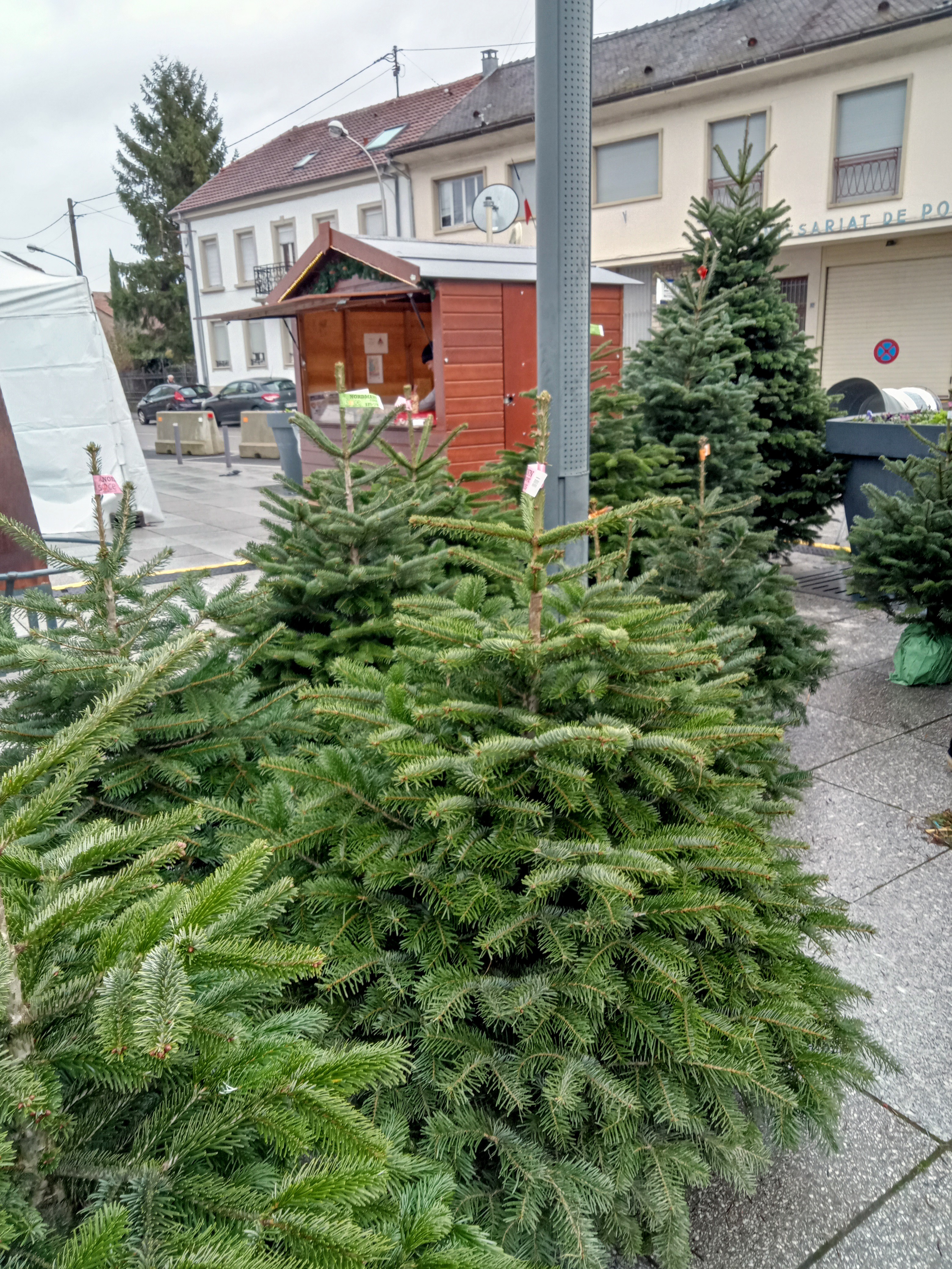 Photo n° 1 de l'avis de Sabine.a fait le 10/12/2023 à 11:28