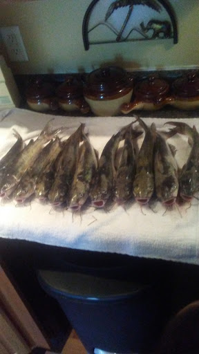 Bait Shop «The Bait Barn», reviews and photos, 3241 N Arlington Ave, Indianapolis, IN 46218, USA