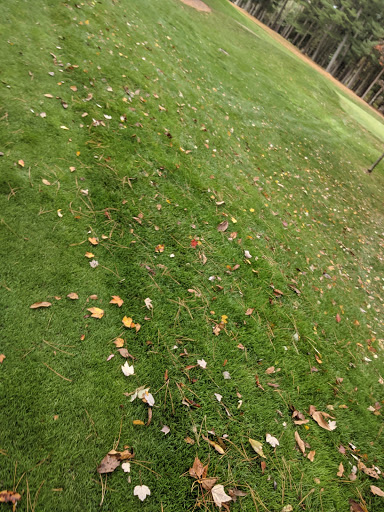 Golf Club «Bowling Green Golf Club», reviews and photos, 53 School House Rd, Oak Ridge, NJ 07438, USA