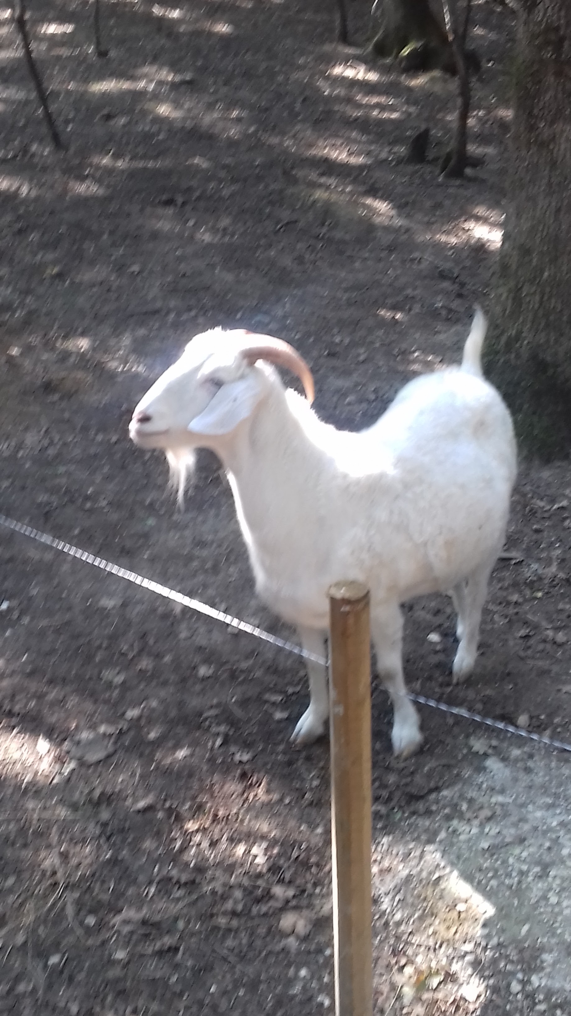 Photo n° 29 de l'avis de Laurent.o fait le 20/08/2018 à 10:25