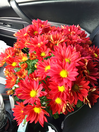 Shopping Mall «Promenade Shopping Plaza», reviews and photos, 9840 FL A1AAlt, Palm Beach Gardens, FL 33410, USA