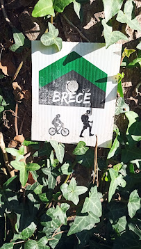 Photo n° 0 de l'avis de Marco BAHIER fait le 20/09/2022