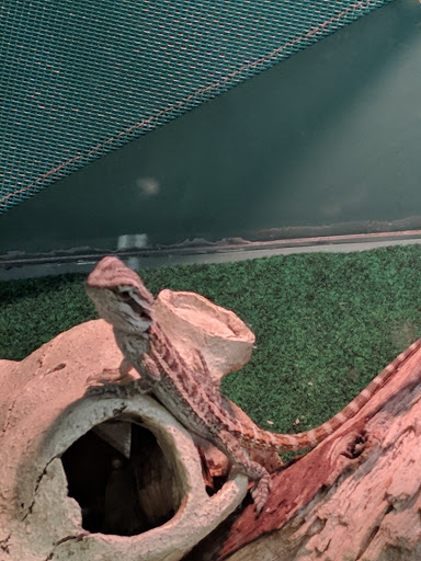 Pet Supply Store «Pet Supplies Plus», reviews and photos, 508 E Stroop Rd, Kettering, OH 45429, USA