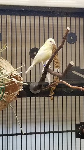 Pet Supply Store «PetSmart», reviews and photos, 45050 Northpointe Blvd, Utica, MI 48315, USA