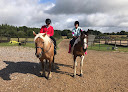 Best Horse Riding Lessons Southampton Near You
