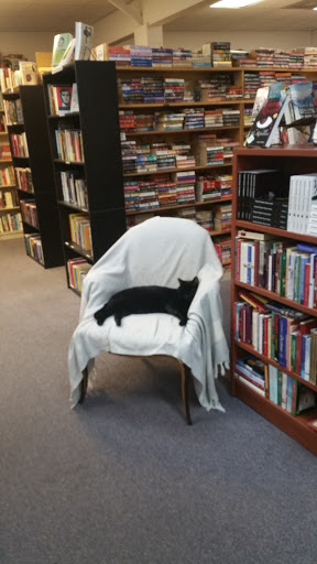 Book Store «Family Book Shop», reviews and photos, 1301 N Woodland Blvd, DeLand, FL 32720, USA