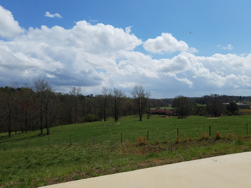 Winery «CeNita Vineyards, Winery & Tasting Room», reviews and photos, 591 Dock Dorsey Rd, Cleveland, GA 30528, USA