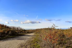 Hike in Holland image