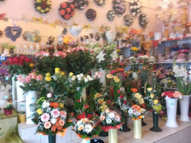 Értékelések erről a helyről: Évike virágüzlet, Budapest - Virágárus