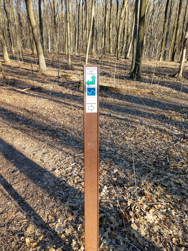 Nature Preserve «Boyd Big Tree Preserve Conservation Area», reviews and photos, Fishing Creek Valley Rd, Harrisburg, PA 17112, USA