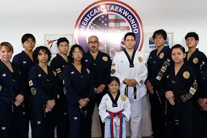 American taekwondo . image