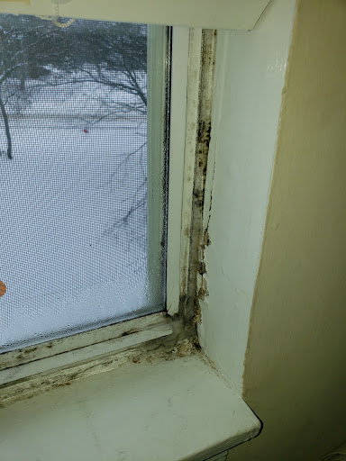 Craft Store «Michaels», reviews and photos, 402 W Army Trail Rd, Bloomingdale, IL 60108, USA