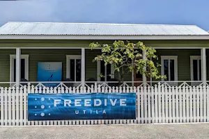 Freedive Utila image