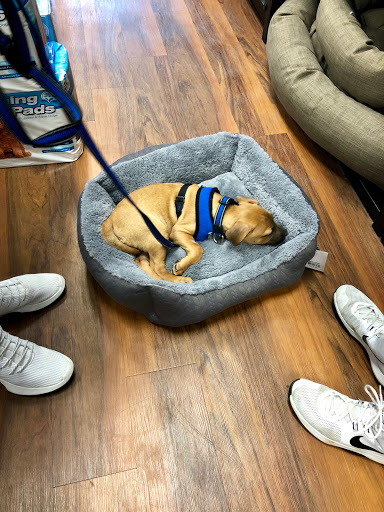 Pet Store «Pet Valu», reviews and photos, 2290 Central Park Ave, Yonkers, NY 10701, USA