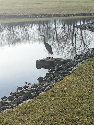 Golf Club «Heatherwoode Golf Club», reviews and photos, 88 Heatherwoode Blvd, Springboro, OH 45066, USA