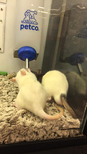 Pet Supply Store «Petco Animal Supplies», reviews and photos, 308 E Meighan Blvd, Gadsden, AL 35903, USA