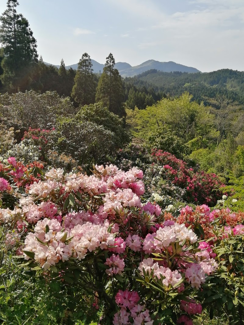 大山しゃくなげ園