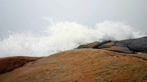 Hiking Area «Black Point Trailhead», reviews and photos, 655 Ocean Rd, Narragansett, RI 02882, USA