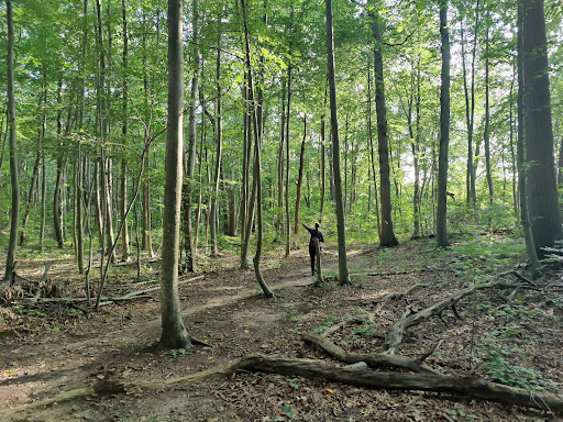 Park «West Hills County Park», reviews and photos, Sweet Hollow Rd, Melville, NY 11747, USA