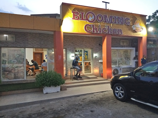 Blooming Chicken, 30A, Karu Site, Abuja, Nigeria, Coffee Shop, state Nasarawa