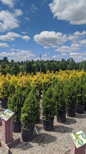 Garden Center «Gertens», reviews and photos, 5500 Blaine Ave E, Inver Grove Heights, MN 55076, USA