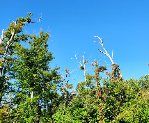 Public Golf Course «St Denis Golf Club & Party Center», reviews and photos, 10660 Chardon Rd, Chardon, OH 44024, USA