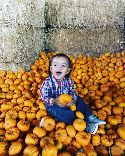 Buick Dealer «AutoNation Buick GMC Henderson», reviews and photos, 330 Old Gibson Rd, Henderson, NV 89014, USA