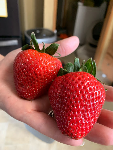 Grocery Store «Earth Fare», reviews and photos, 725 Cherry Rd, Rock Hill, SC 29732, USA