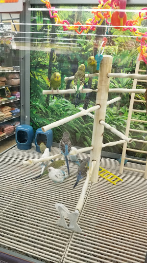Pet Supply Store «Petco Animal Supplies», reviews and photos, 265 N Broadway f, Hicksville, NY 11801, USA