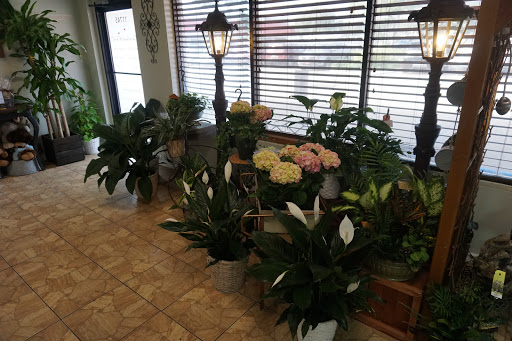 Florist «Carrollwood Florist», reviews and photos, 11745 N Dale Mabry Hwy, Tampa, FL 33618, USA
