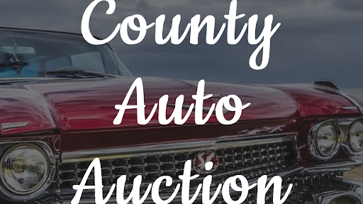 County Auto Auction - Auto Auction in Florence