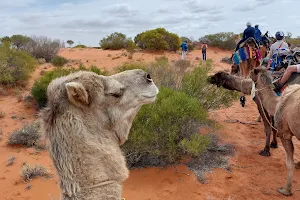 Camel Treks Australia image