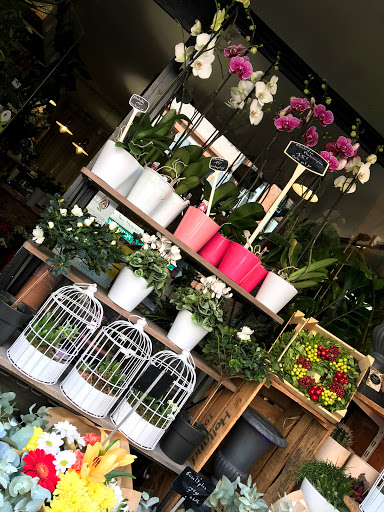 Typical flower shops in Toulouse