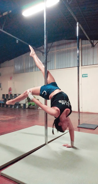 RE9C Acondicionamiento Físico, Yoga, Pole Dance