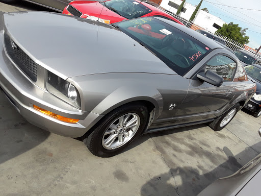 Auto Auction «BLOK Charity Auto Clearance», reviews and photos