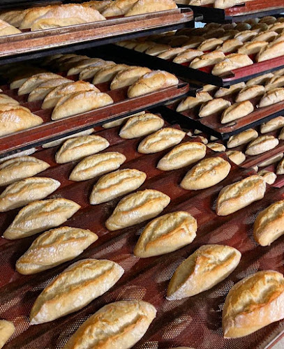 Panadería Pastelería Moisés en Granada