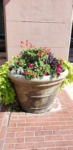 Museum «Colorado Springs Pioneers Museum», reviews and photos, 215 S Tejon St, Colorado Springs, CO 80903, USA