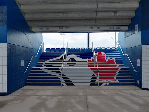 Stadium «Toronto Blue Jays», reviews and photos, 1700 Solon Ave, Dunedin, FL 34698, USA