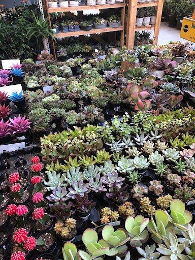 Home Improvement Store «The Home Depot», reviews and photos, 5401 Thornton Ave, Newark, CA 94560, USA