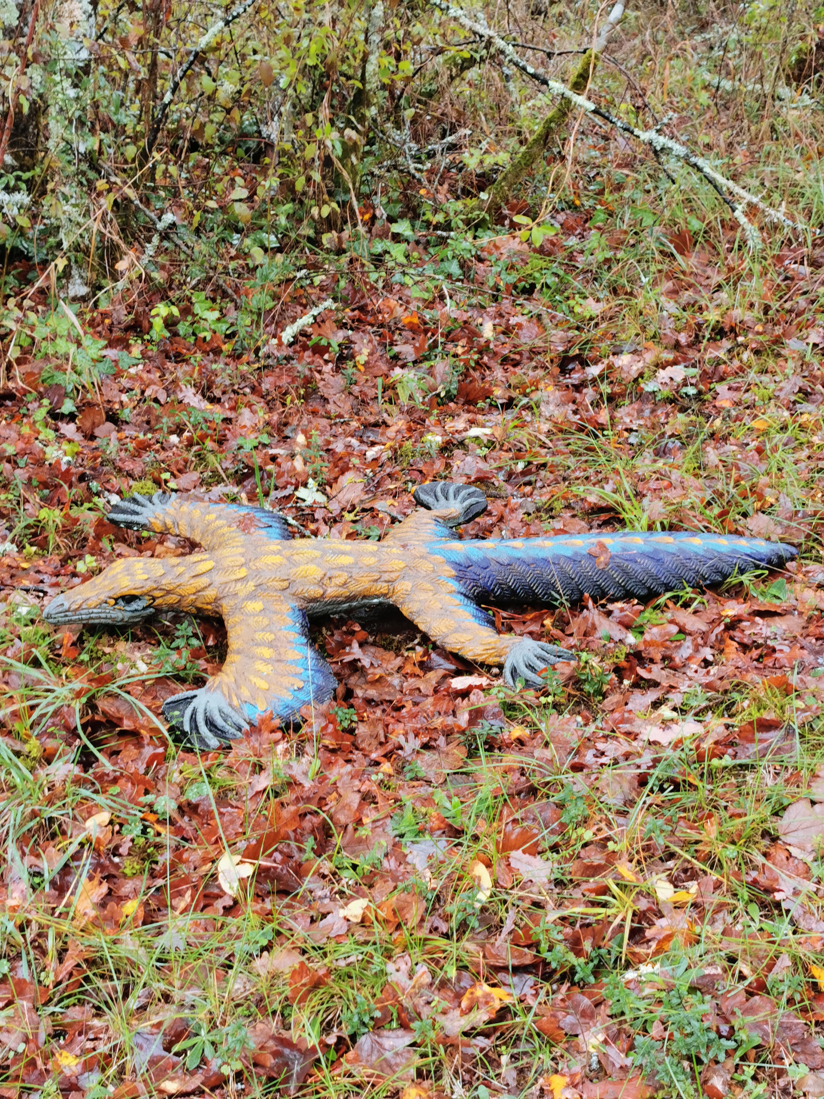 Photo n° 7 de l'avis de pascal. fait le 23/10/2019 à 14:57