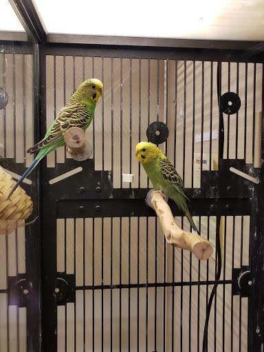 Pet Supply Store «PetSmart», reviews and photos, 11200 Fountains Way, Maple Grove, MN 55369, USA