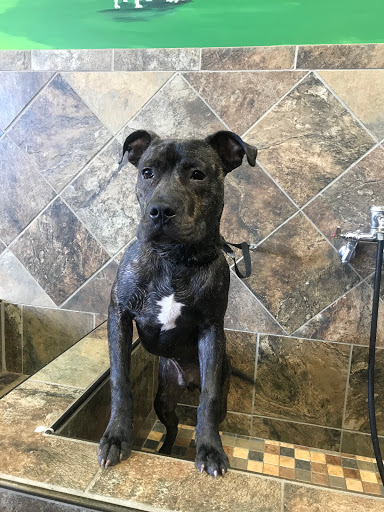 Pet Store «Pet Valu», reviews and photos, 773 Huntingdon Pike, Huntingdon Valley, PA 19006, USA