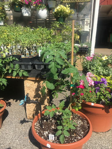 Produce Market «Highland Orchards Farm Market», reviews and photos, 1431 Foulk Rd, Wilmington, DE 19803, USA