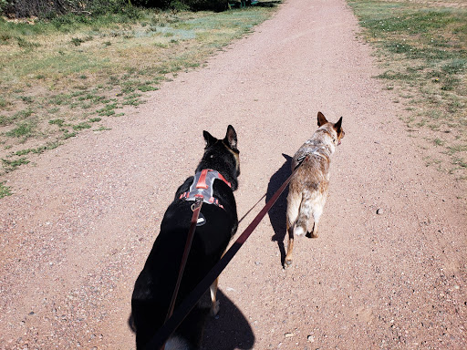 Park «Iron Horse Park», reviews and photos, 6151 Elwell St, Fort Carson, CO 80913, USA