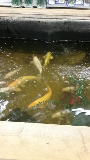 Pet Store «Pet World Warehouse Outlet», reviews and photos, 2148 W Beltline Hwy, Madison, WI 53713, USA